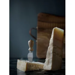 Parmesankniv med oliventrsskaft