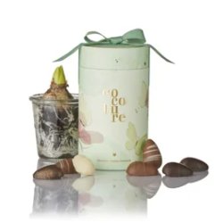 Marcipan�g i gr�nt Cocoture gaver�r