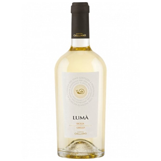 Luma grillo